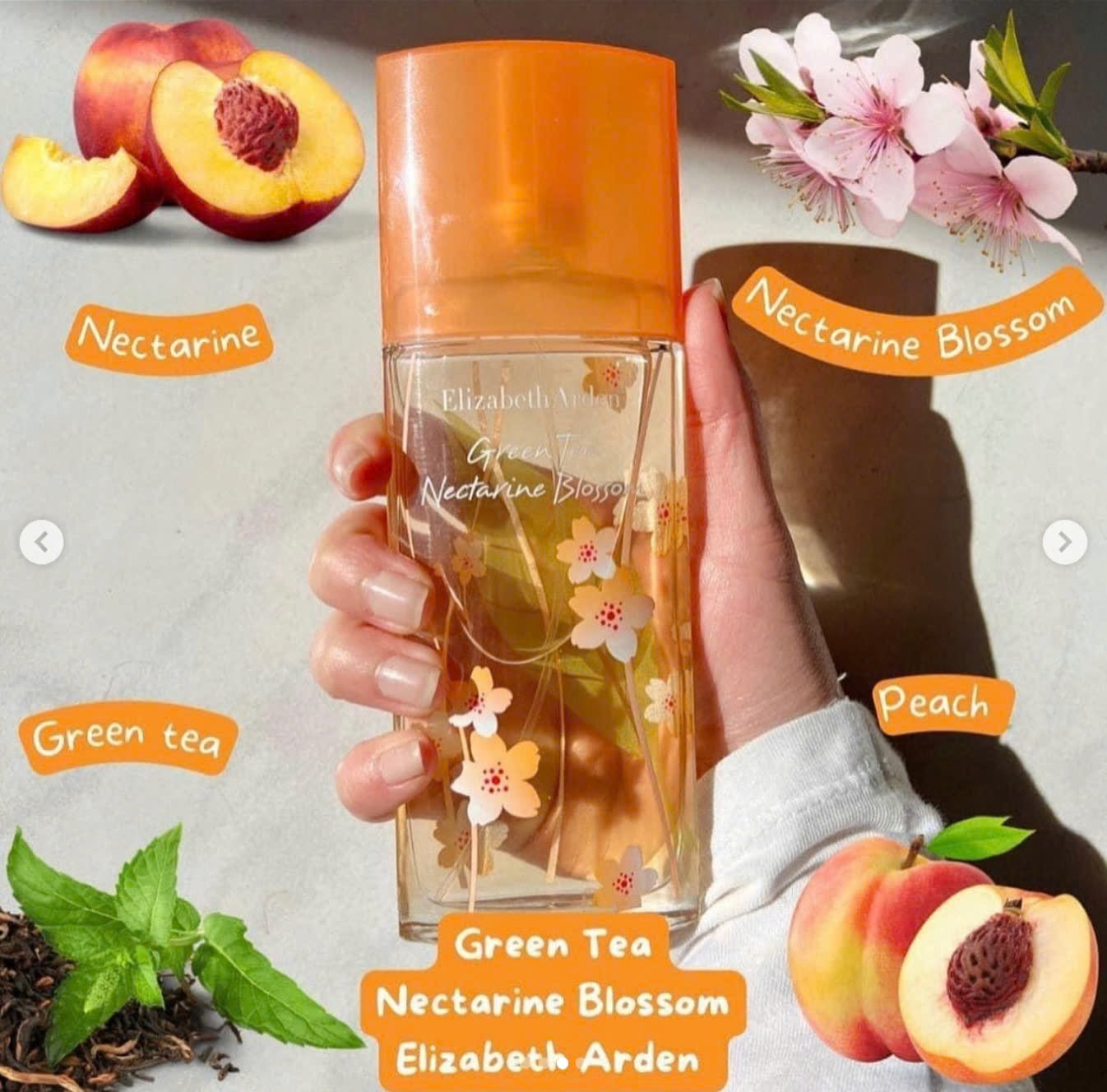 Nectarine1-min
